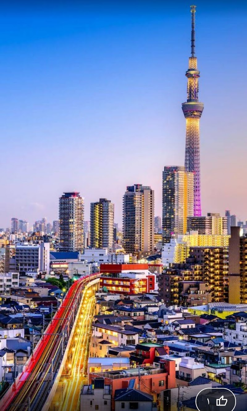 10 Days in Tokyo - Immerse yourself in the vibrant culture and technology of Tokyo